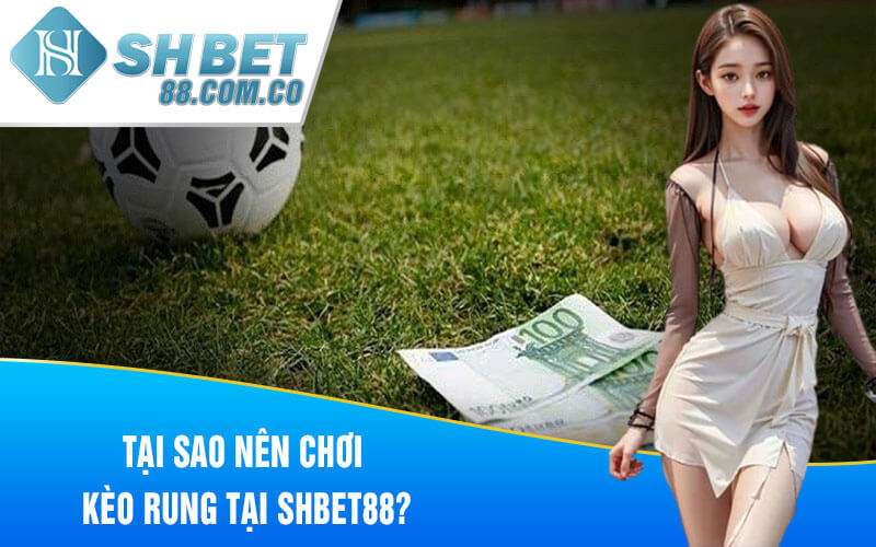 Tại sao nên chơi kèo rung tại SHBET88?